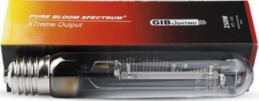 GIB lightning pue bloom spectrum xtream output 600W